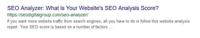 seo score example in the google search results